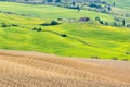 New sown field in an Italian rural landscape