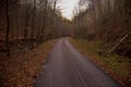 New sphalt road in the mountain valley during autumn, Slovakia