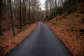 New sphalt road in the mountain valley during autumn, Slovakia