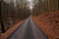 New sphalt road in the mountain valley during autumn, Slovakia