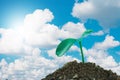 New sprout growing in natural with cloudy sky Royalty Free Stock Photo