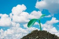 New sprout growing in natural with cloudy sky Royalty Free Stock Photo