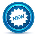 New star badge icon eyeball blue round button Royalty Free Stock Photo