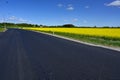 new tarmac road through yellow canola fields Royalty Free Stock Photo