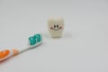New toothbrush and Model Cute toys teeth in dentistry on a white background