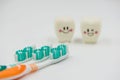 New toothbrush and Model Cute toys teeth in dentistry on a white background