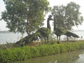 Nice picture Kolkata ECO park, West bengal Royalty Free Stock Photo