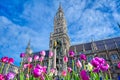 New Town Hall located in the Marienplatz in Munich, Germany Royalty Free Stock Photo