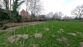 New Trees planted in Woodlands Park (The Spinney), IvybridgeDevon uk Royalty Free Stock Photo