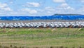 New Trucks Parked Vehicle Depot Yard Royalty Free Stock Photo