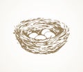 Nest. Vector drawing