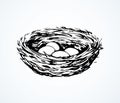 Nest. Vector drawing