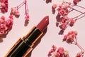 New unused lipstick close-up. Cosmetic product on a pink background with dried gypsophila flowers