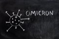 Variant of the covid 19 virus, omicron