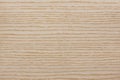New white ash veneer texture for your ideal interior. Royalty Free Stock Photo