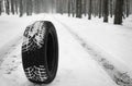 New winter tire on fresh snow near forest.