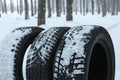 New winter tires covered with snow near forest