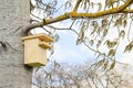 New wooden birdhouse attached to tree