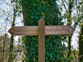 A new wooden sign post in front of an ivy covered tree on the Hadrian`s Wall Path between Drumburgh and Beaumont Royalty Free Stock Photo