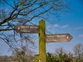 A new wooden sign post in front of a leafless tree on the Hadrian`s Wall Path between Beaumont and Grinsdale. Royalty Free Stock Photo