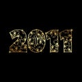 New year 2011