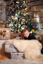 New year activity indoor. Happy Baby Near Christmas Tree With Gifts and mandarines Royalty Free Stock Photo