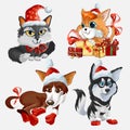New Year animal set, Christmas animal characters vector illustrations set. Black cat, lying dog, husky, orange cat with gifts. Royalty Free Stock Photo