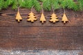 New Year background with homemade tree-shaped cookies hanging from the top among spruce branches