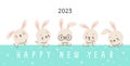 New year bunny banner. Asian holiday rabbit wealth symbols. Cute cartoon 2023 bunnies, scandinavian style animals poster