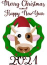 New Year card. The face of a cow in a New Year\'s hat on a white background. Royalty Free Stock Photo