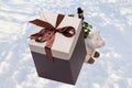 New year card template. Close-up of a brown white present or gift box with ribbon bow and a luck pig with luck clover and chimney