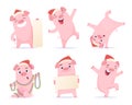 New year cartoon pig. Funny 2019 cute characters boar hog piglet mascot vector illustrations isolated Royalty Free Stock Photo