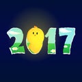 New year chicken looking through 2017