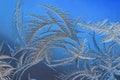 New Year and Christmas abstract icy snowy background with real ice crystals macro in cold blue tones Royalty Free Stock Photo