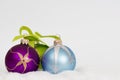 New year christmas background - violet green and blue balls Royalty Free Stock Photo