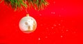 New year or Christmas banner on a red background Royalty Free Stock Photo