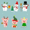 New Year and Christmas card. A set of three snowmen and three pigs character in different hats and poses in winter. Gift