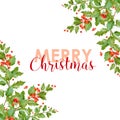 New Year and Christmas Card - Vintage Hollyberry Background Royalty Free Stock Photo