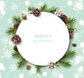 New Year and Christmas design template. Xmas background with decorative pine and fir cone, fir twig, white snowflakes.