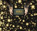 New Year, Christmas, 2019, golden fluffy snowflakes, Tablet PC Royalty Free Stock Photo