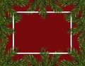 New Year Christmas. Green spruce branches in a circle on a red background. Frame for advertising and ads. Isolated