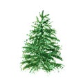 New Year and Christmas holiday tree winter green watercolor isolated object on white background illustration. For design and decor Royalty Free Stock Photo