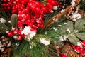 New Year and Christmas still life. Frozen red berries in the winter in the snow. Royalty Free Stock Photo