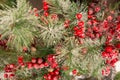 New Year and Christmas still life. Frozen red berries in the winter in the snow Royalty Free Stock Photo