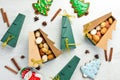 New Year and Christmas sweets. Cookies in the form of walnuts in Christmas tree-shaped boxes. Royalty Free Stock Photo