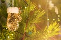 New Year and Christmas toy in a shape of golden mitten hanging on a Christmas tree surrounded by other toys. Royalty Free Stock Photo