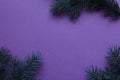 New year Christmas winter background with pine branches spruce tree on purple background with copy space Royalty Free Stock Photo