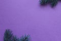 New year Christmas winter background with pine branches spruce tree on purple background with copy space Royalty Free Stock Photo