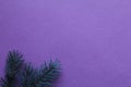 New year Christmas winter background with pine branches spruce tree on purple background with copy space Royalty Free Stock Photo