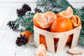 New year composition in basket with mandarins Royalty Free Stock Photo